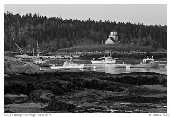 Fishing boats and forest. Stonington, Maine, USA (black and white)