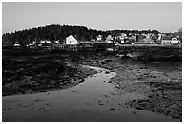 Tidal flats and houses, sunrise. Stonington, Maine, USA ( black and white)