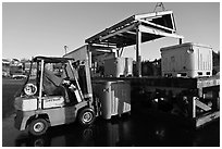 Man loading lobster crates in harbor. Stonington, Maine, USA (black and white)