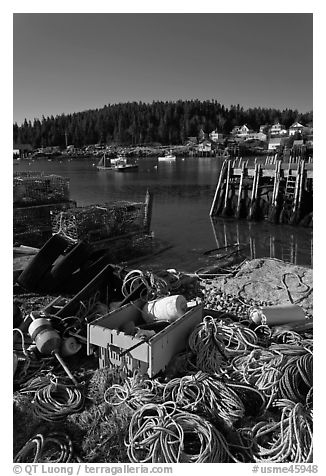 Lobster fishing harbor. Stonington, Maine, USA (black and white)