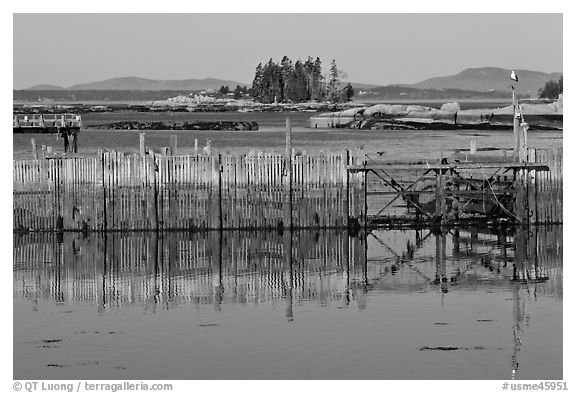 Water fence and islets. Stonington, Maine, USA (black and white)