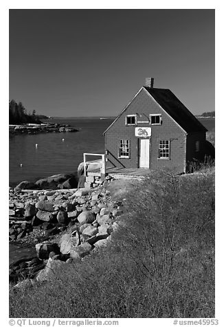 Lobstering shack. Stonington, Maine, USA