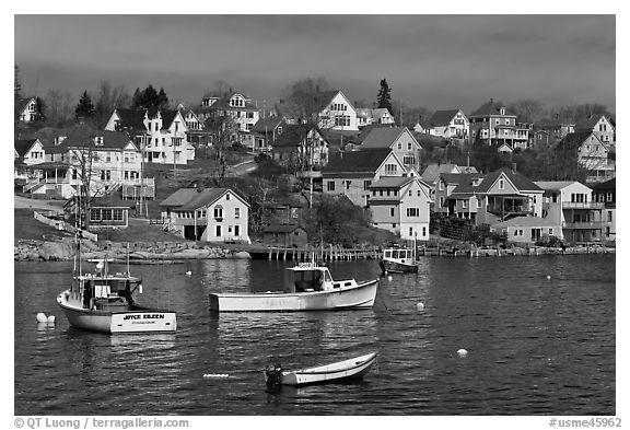 Lobstering boats and houses. Stonington, Maine, USA (black and white)