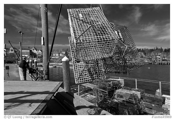 Lobsterman loading lobster traps. Stonington, Maine, USA (black and white)