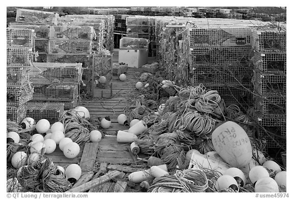Buoys and lobster traps. Corea, Maine, USA (black and white)