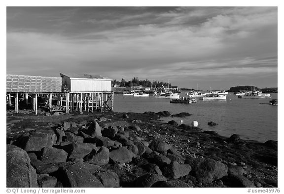 Harber at low tide, late afternoon. Corea, Maine, USA (black and white)