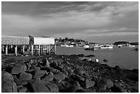 Harber at low tide, late afternoon. Corea, Maine, USA (black and white)