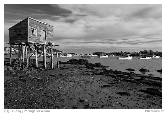 Tidal flats and harbor. Corea, Maine, USA