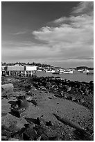 Lobster fishing fleet in harbor. Corea, Maine, USA ( black and white)
