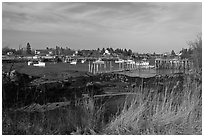 Traditional lobstering village. Corea, Maine, USA ( black and white)