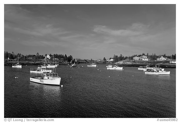 Traditional lobster fishing fleet. Corea, Maine, USA