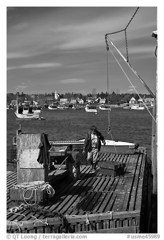 Man preparing to lift box from deck. Corea, Maine, USA