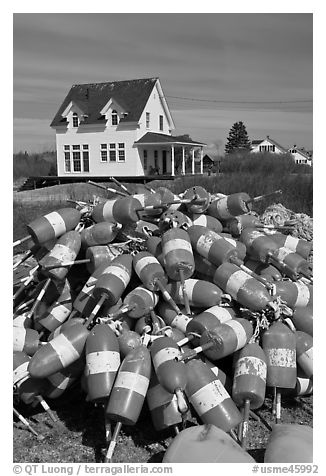 Colorful lobstering buoys. Corea, Maine, USA (black and white)