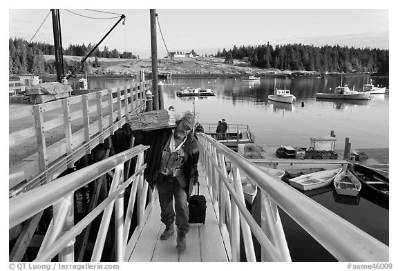 Man carrying construction wood and rolling case out of mailboat. Isle Au Haut, Maine, USA (black and white)