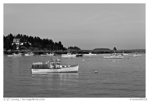 Traditional Maine lobstering boats. Stonington, Maine, USA (black and white)