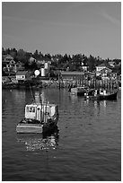 Traditional lobster boats and houses, late afternoon. Stonington, Maine, USA (black and white)