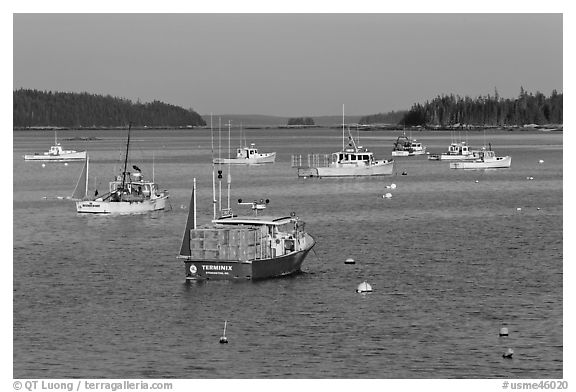 Traditional Maine  lobster boat. Stonington, Maine, USA (black and white)