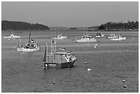 Traditional Maine  lobster boat. Stonington, Maine, USA ( black and white)