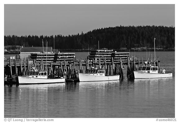 Lobster boats and wharf. Stonington, Maine, USA (black and white)