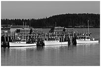 Lobster boats and wharf. Stonington, Maine, USA ( black and white)