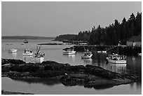 Lobstering fleet at dusk. Stonington, Maine, USA ( black and white)