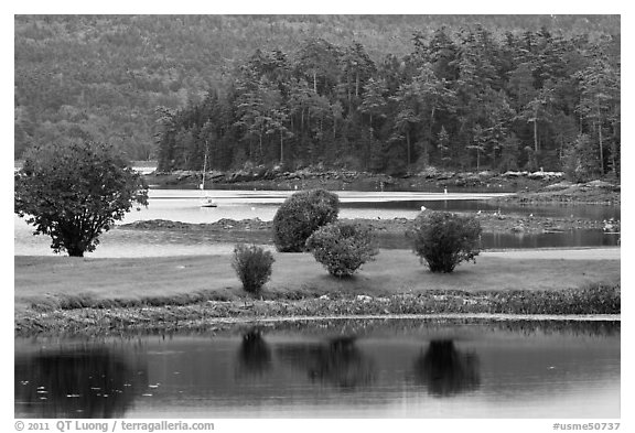 Somesville harbor. Maine, USA (black and white)