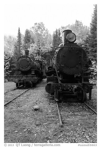 Two locomotives in the woods. Allagash Wilderness Waterway, Maine, USA (black and white)