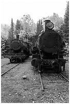 Two locomotives in the woods. Allagash Wilderness Waterway, Maine, USA ( black and white)