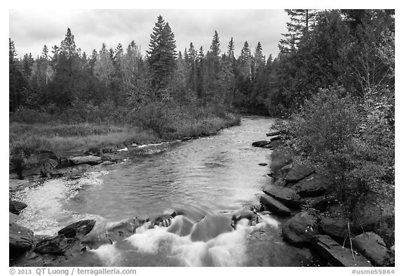 Stream in autumn forest. Allagash Wilderness Waterway, Maine, USA (black and white)