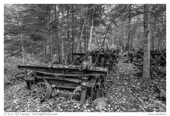 Rusting railway equipment in the woods. Allagash Wilderness Waterway, Maine, USA