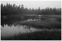 Desey Pond, dusk. Katahdin Woods and Waters National Monument, Maine, USA ( black and white)