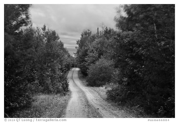 Katahdin Loop Road in autumn. Katahdin Woods and Waters National Monument, Maine, USA (black and white)