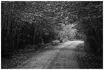 Katahdin Loop Road and trees. Katahdin Woods and Waters National Monument, Maine, USA ( black and white)