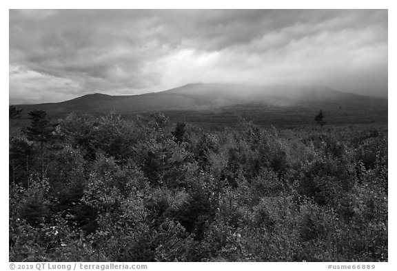 Northern hardwood forest in autumn foliage and cloud-capped Katahdin. Katahdin Woods and Waters National Monument, Maine, USA (black and white)