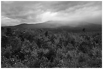 Northern hardwood forest in autumn foliage and cloud-capped Katahdin. Katahdin Woods and Waters National Monument, Maine, USA ( black and white)