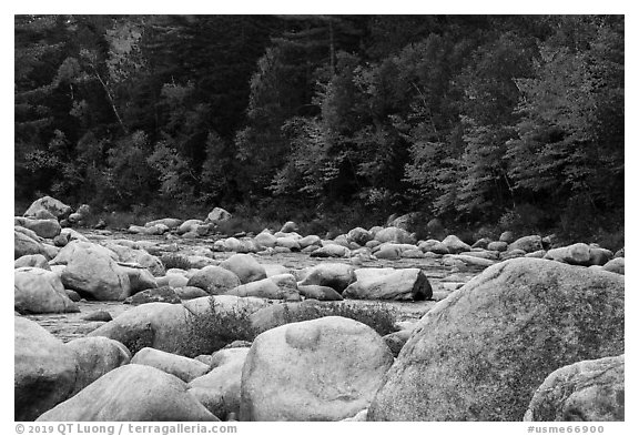 Huge boulders and Wassatotaquoik Stream in autumn. Katahdin Woods and Waters National Monument, Maine, USA (black and white)