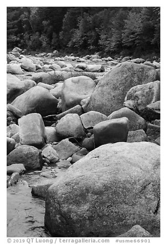 Boulders and Wassatotaquoik Stream in the fall. Katahdin Woods and Waters National Monument, Maine, USA (black and white)