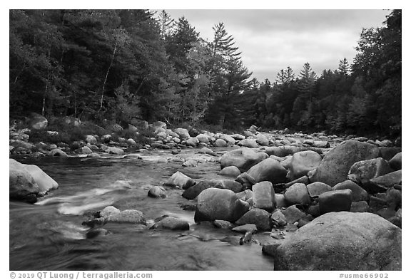 Wassatotaquoik Stream flowing past boulders. Katahdin Woods and Waters National Monument, Maine, USA (black and white)