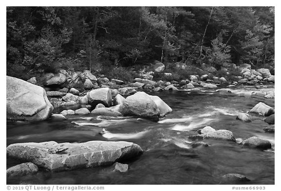 Wassatotaquoik Stream in autumn. Katahdin Woods and Waters National Monument, Maine, USA (black and white)