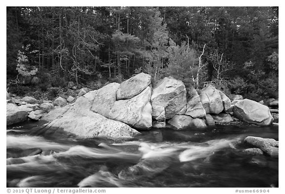 Orin Falls in autumn. Katahdin Woods and Waters National Monument, Maine, USA (black and white)