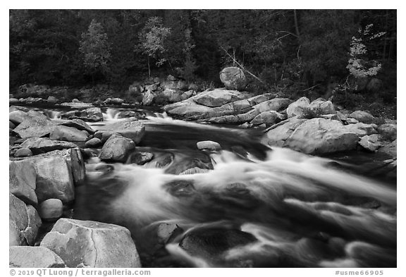 Orin Falls of the Wassatotaquoik Stream. Katahdin Woods and Waters National Monument, Maine, USA (black and white)