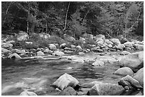 Wassatotaquoik Stream and hardwood trees in autumn. Katahdin Woods and Waters National Monument, Maine, USA ( black and white)