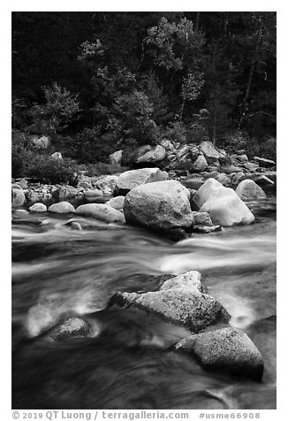 Rapids of Wassatotaquoik Stream at Orin Falls. Katahdin Woods and Waters National Monument, Maine, USA (black and white)