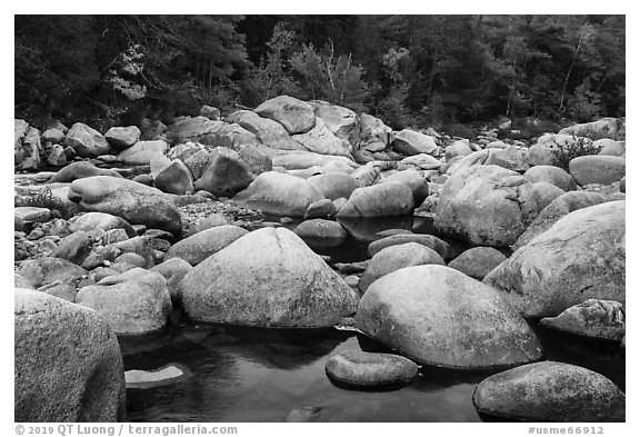 Boulders, Wassatotaquoik Stream near Orin Falls, autumn. Katahdin Woods and Waters National Monument, Maine, USA (black and white)