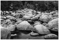 Boulders, Wassatotaquoik Stream near Orin Falls, autumn. Katahdin Woods and Waters National Monument, Maine, USA ( black and white)