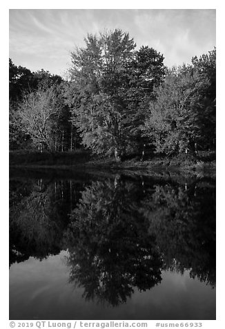 Trees in autunm foliage reflected in East Branch Penobscot River. Katahdin Woods and Waters National Monument, Maine, USA (black and white)