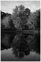Trees in autunm foliage reflected in East Branch Penobscot River. Katahdin Woods and Waters National Monument, Maine, USA ( black and white)
