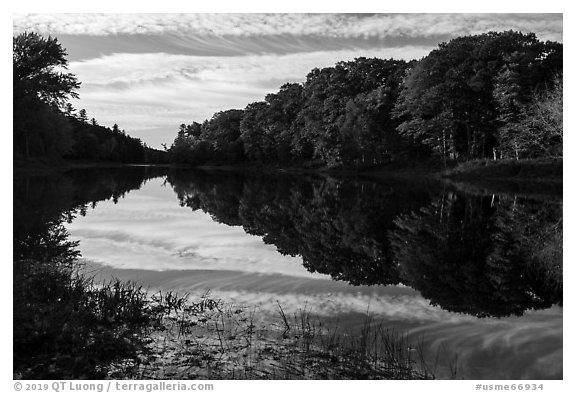 Clouds and trees reflected in East Branch Penobscot River. Katahdin Woods and Waters National Monument, Maine, USA (black and white)