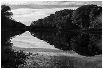 Clouds and trees reflected in East Branch Penobscot River. Katahdin Woods and Waters National Monument, Maine, USA ( black and white)