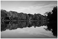 Morning reflections of trees in autumn foliage and mountain, Branch Penobscot River. Katahdin Woods and Waters National Monument, Maine, USA ( black and white)